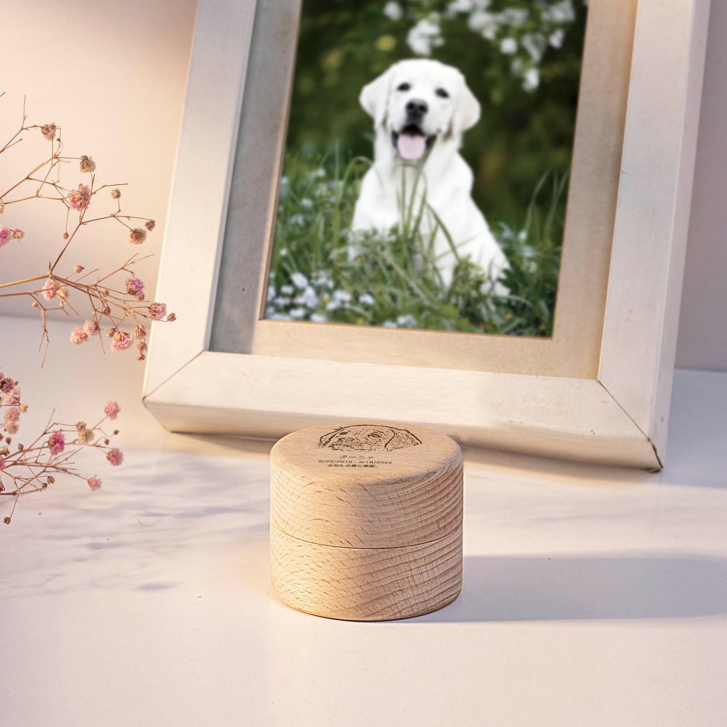 Custom Name Pet Teeth Box Personalized Urn Cat Dog Hair Photo Memorial Ashes Urn Box